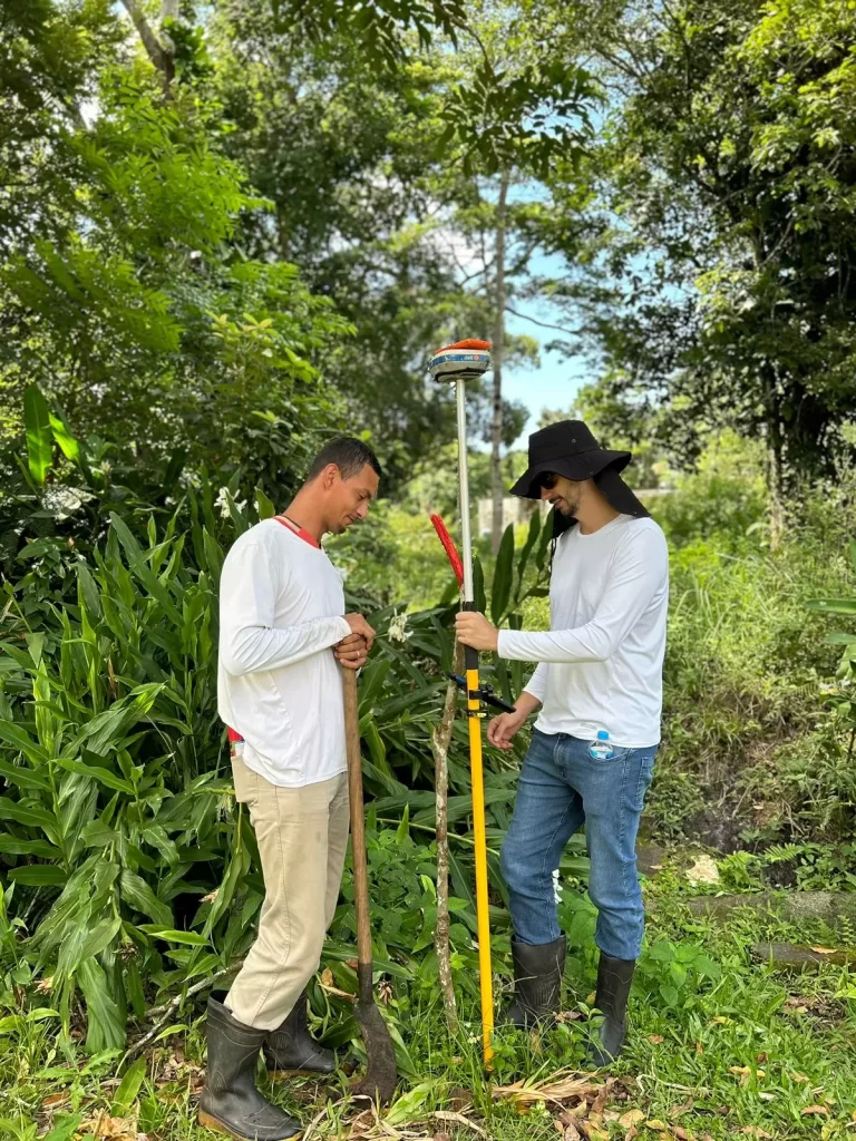Enriquecimento florestal